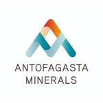 amnsa